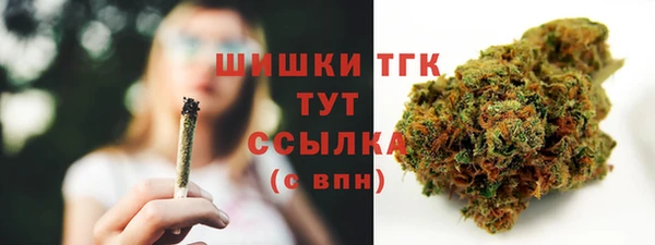прущий лед Магас