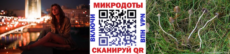 Псилоцибиновые грибы мухоморы  купить наркотик  Сольвычегодск 